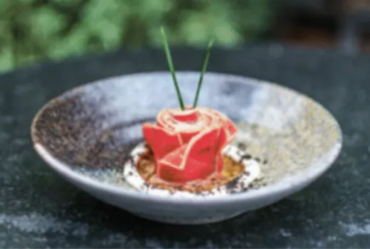 Descripción de la imagen